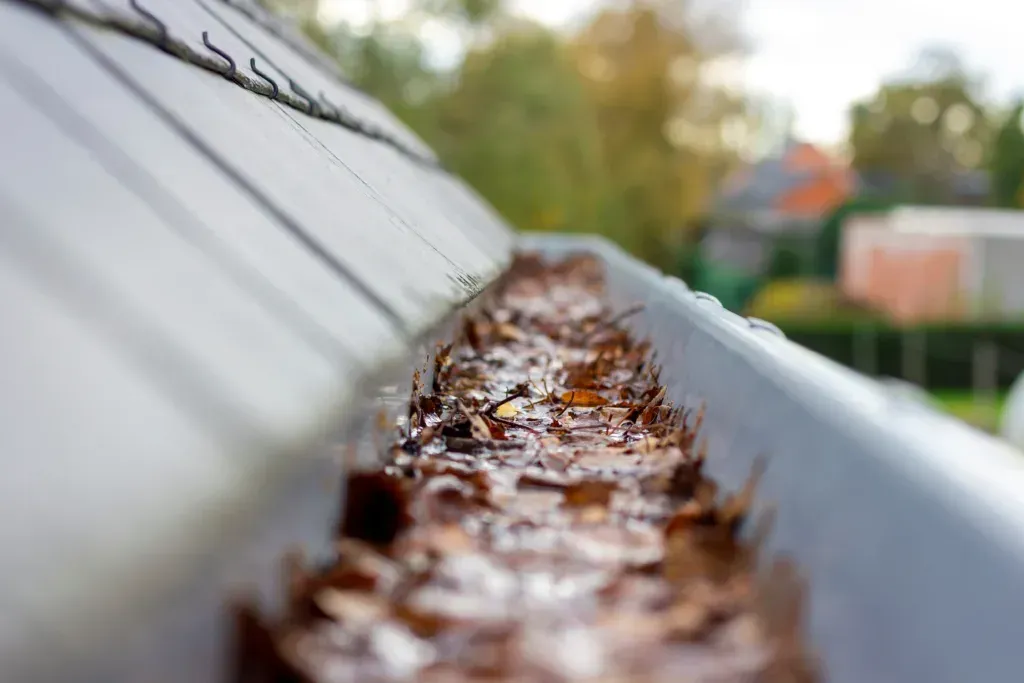 Clogged Gutter need to be cleaned and flushed in Rumson NJ