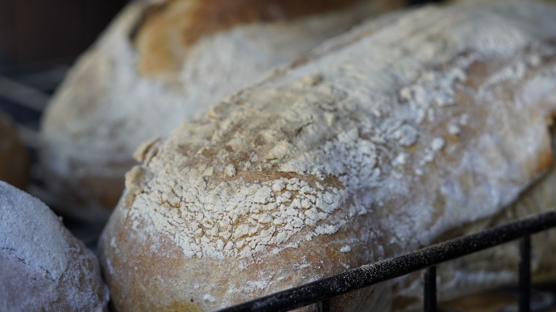 Fresh Bread