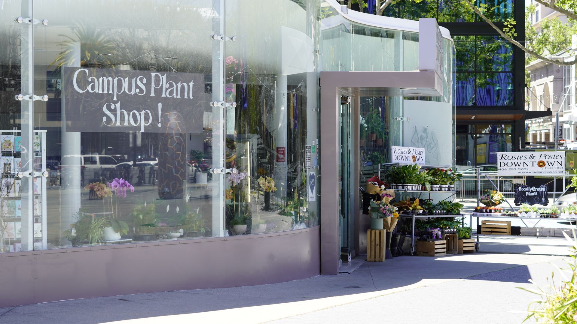 Flower shop sj