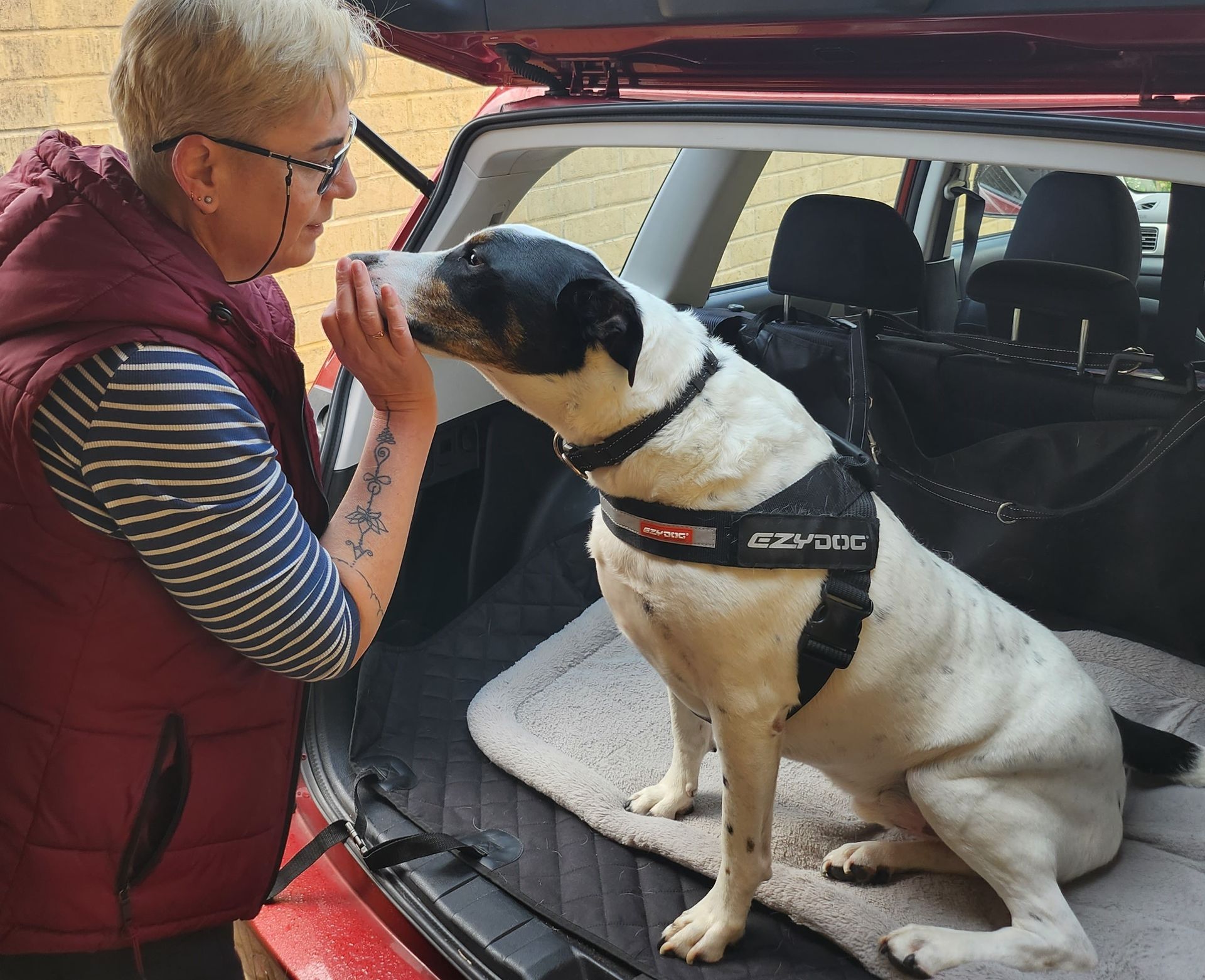 Talking about a lesson I learnt from my dog Sammie - being empathic