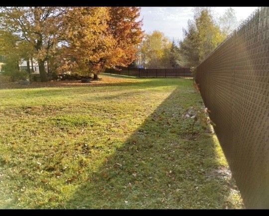 Cour ensoleillée et herbeuse bordée d'une clôture en grillage, avec des arbres d'automne en arrière-plan.