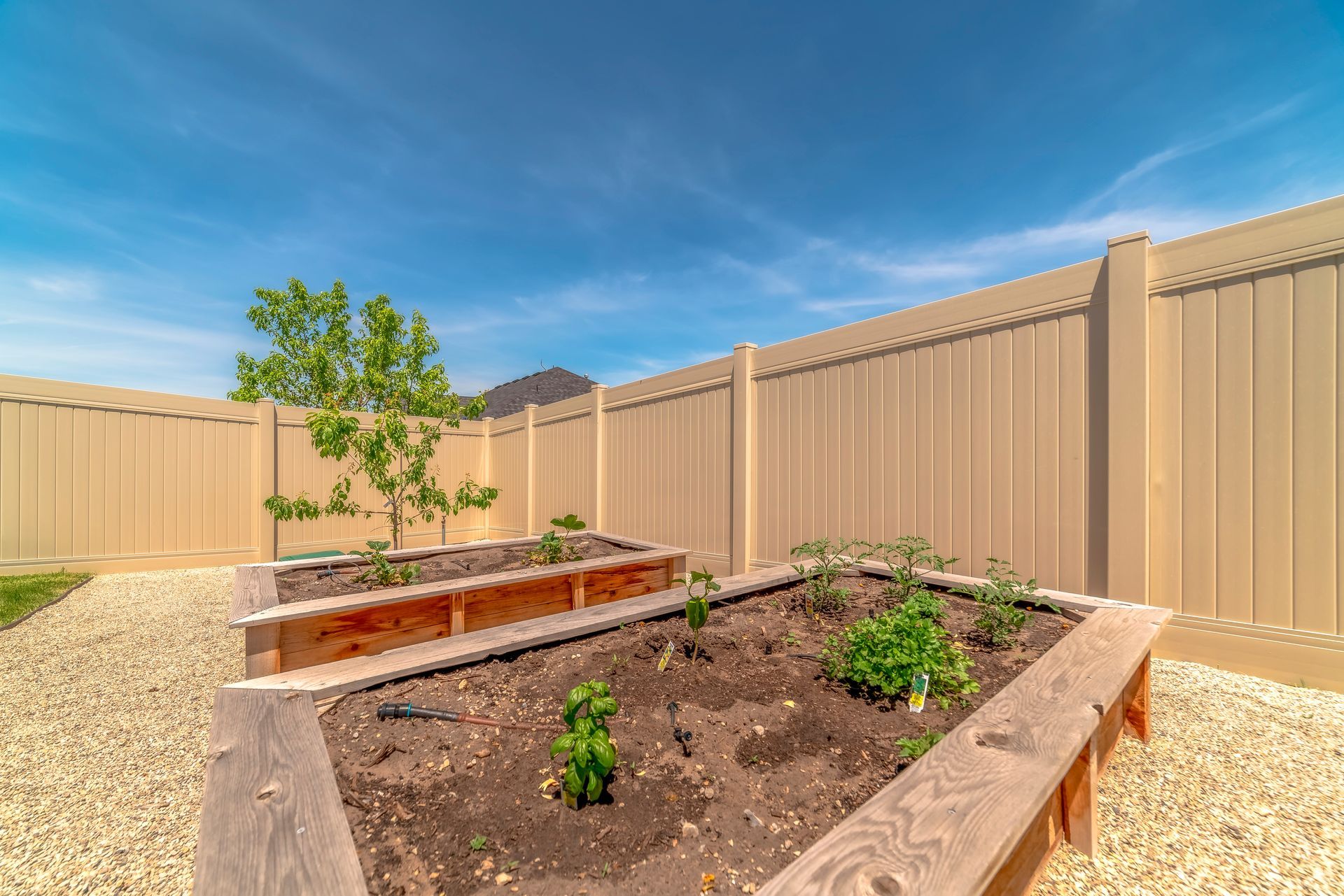 Backyard wooden fence with gravel & greenery under a clear blue sky, perfect for fence contractors. Backyard wooden fence with gravel & greenery under a clear blue sky, perfect for fence contractors.