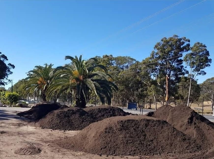 Piles of dark soil in front of palm and eucalyptus trees on a sunny day - Palms Landscape Supplies in Forster, NSW