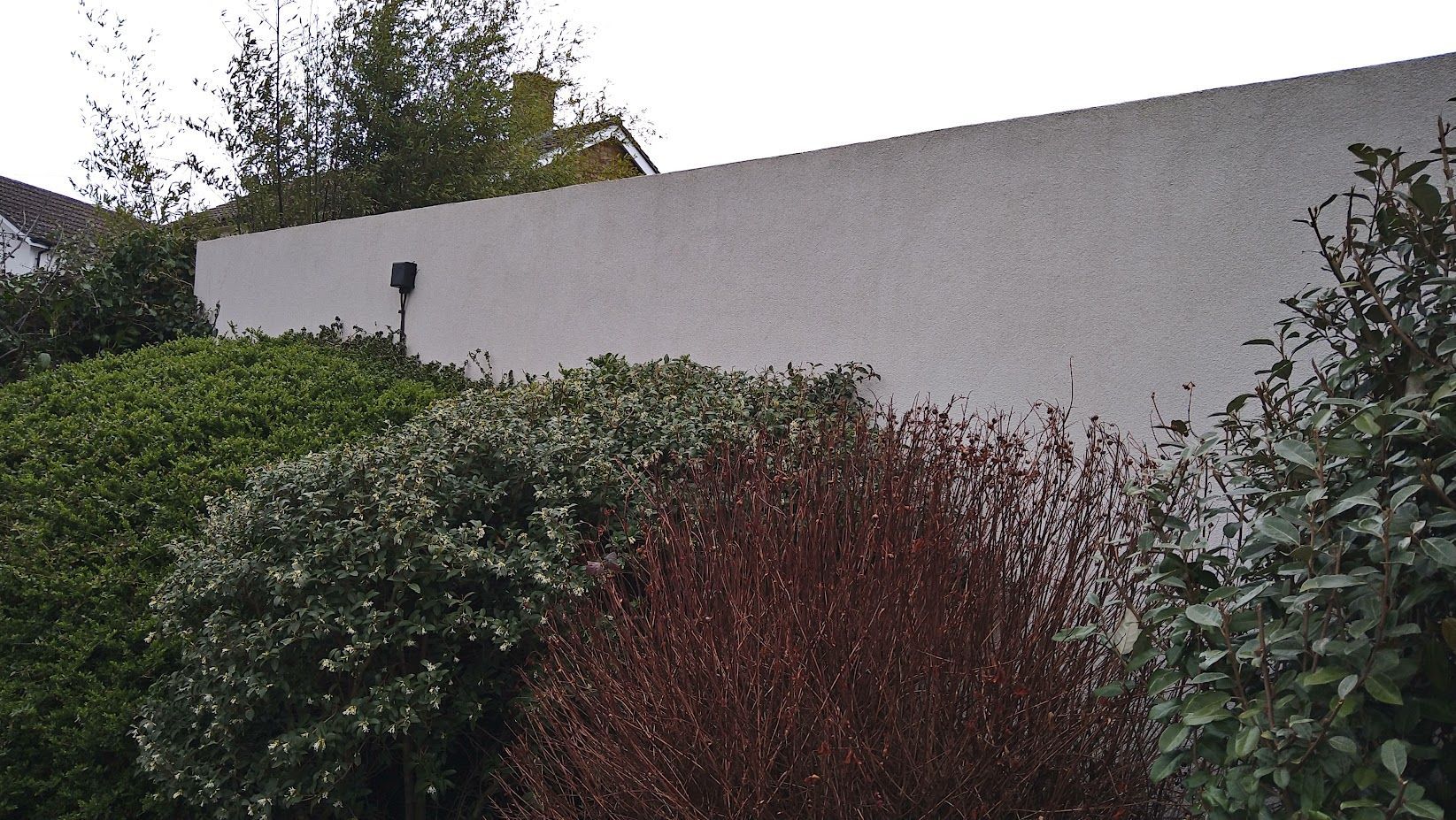 Render wall after softwash cleaning