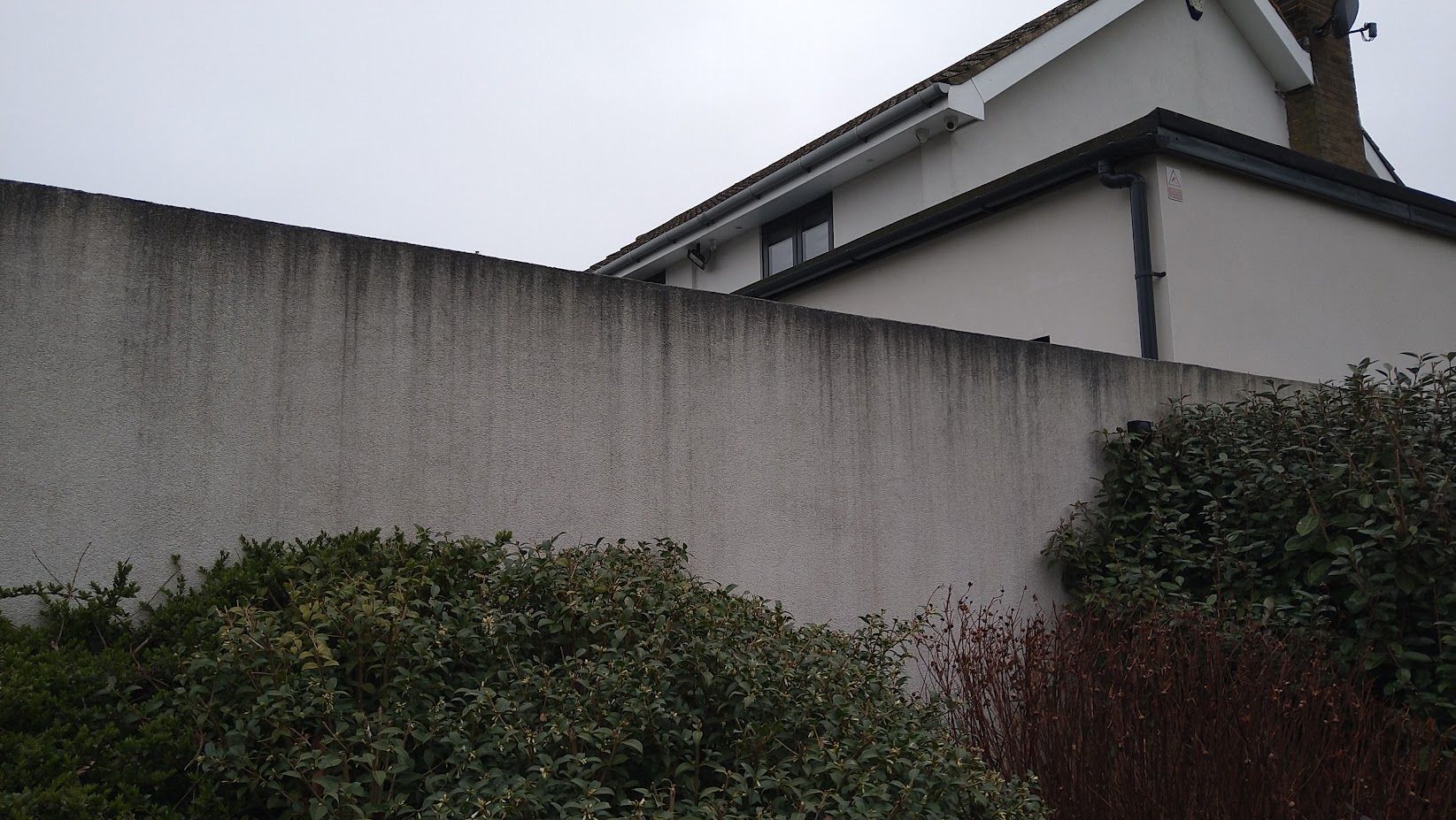Render wall before softwash cleaning