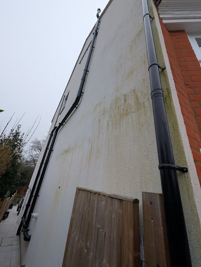 Render wall before softwash cleaning
