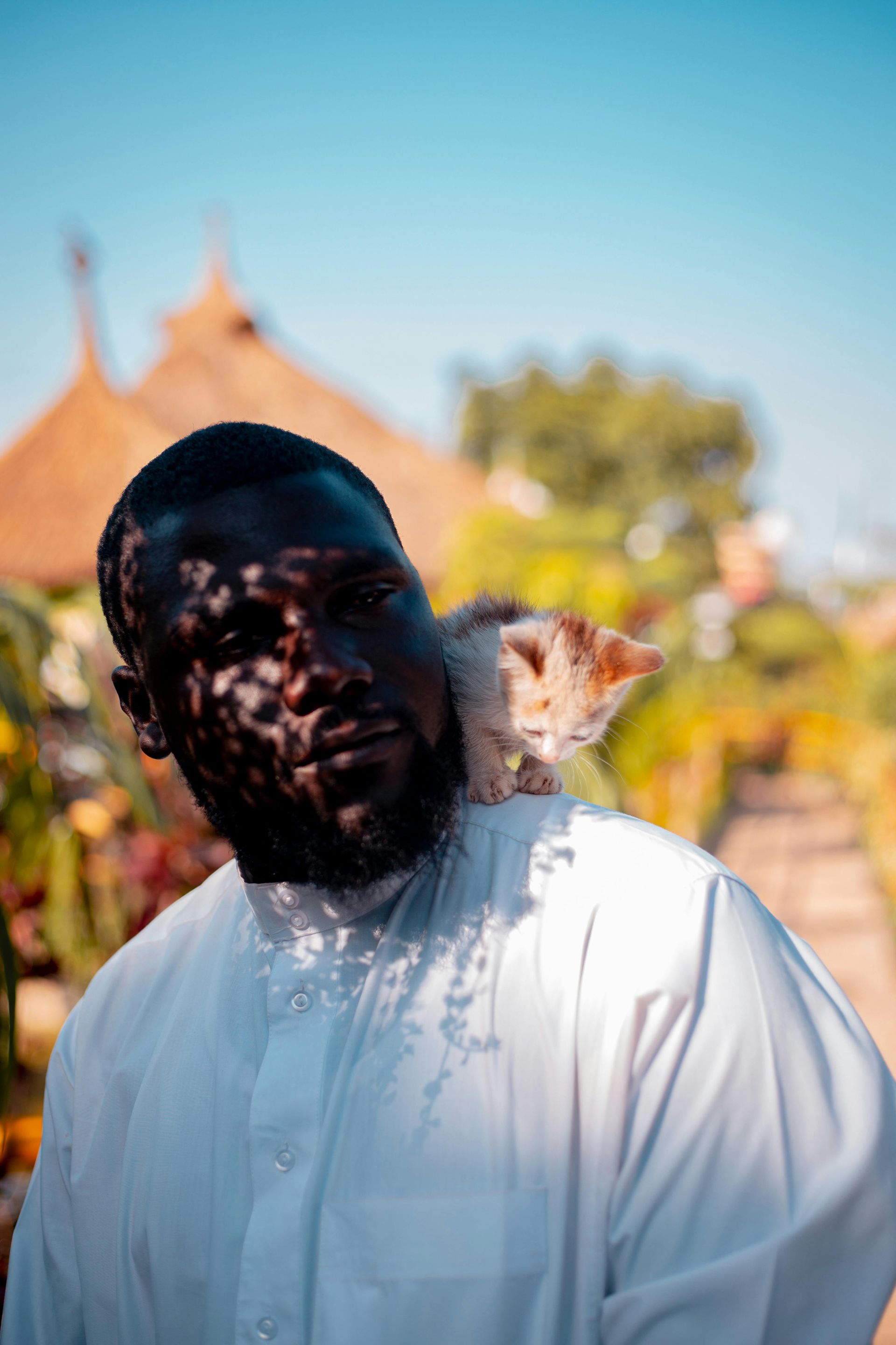 A man with a beard is holding a cat on his shoulder.