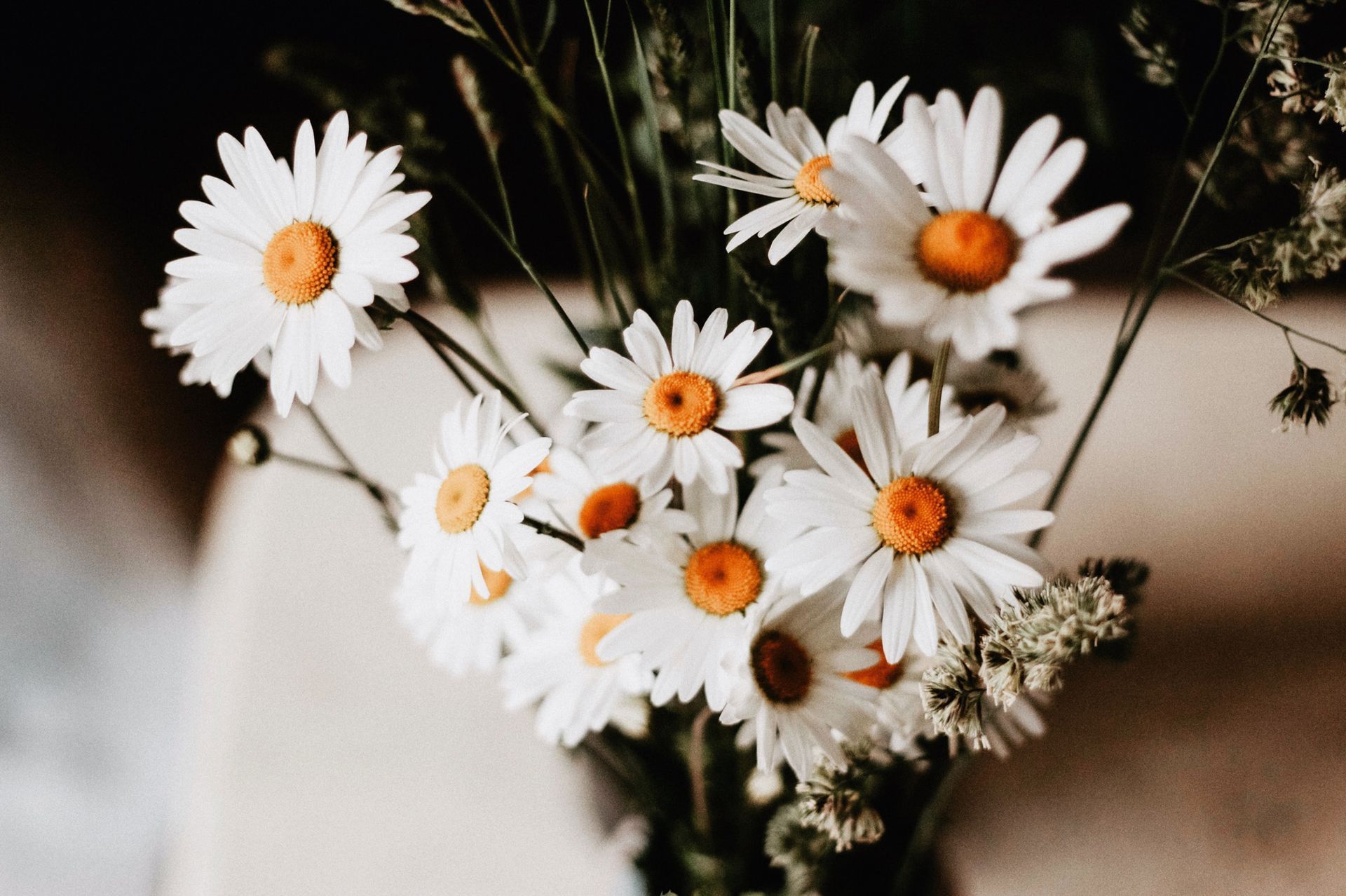 Send Flowers