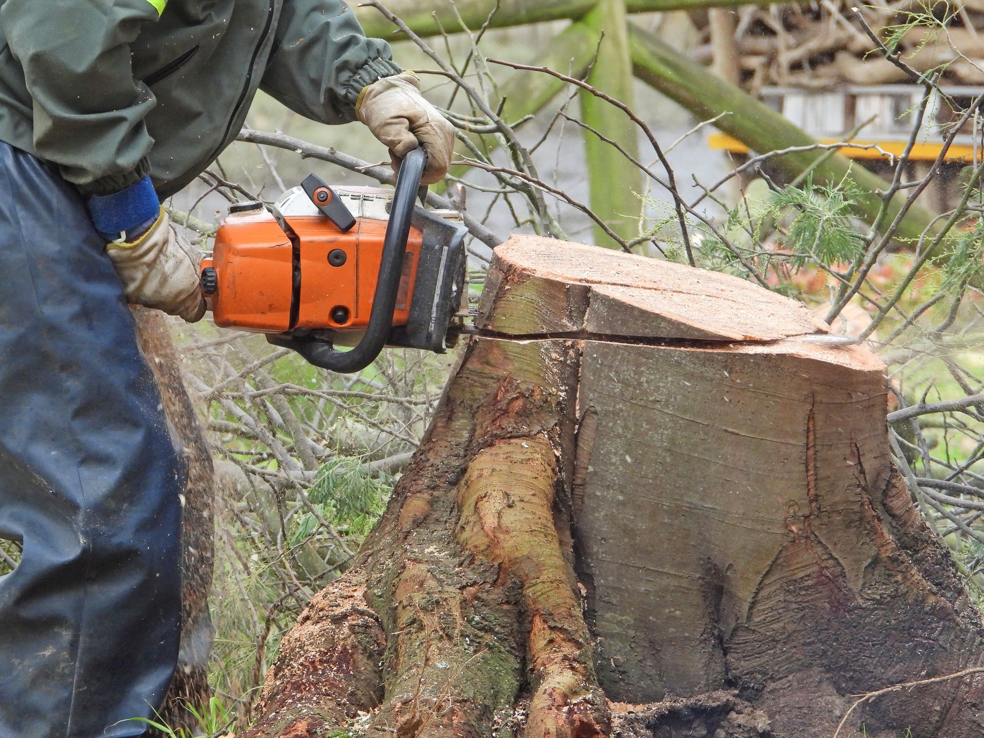 Person using an orange chainsaw to cut a tree stump outdoors.