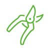 Pruning
