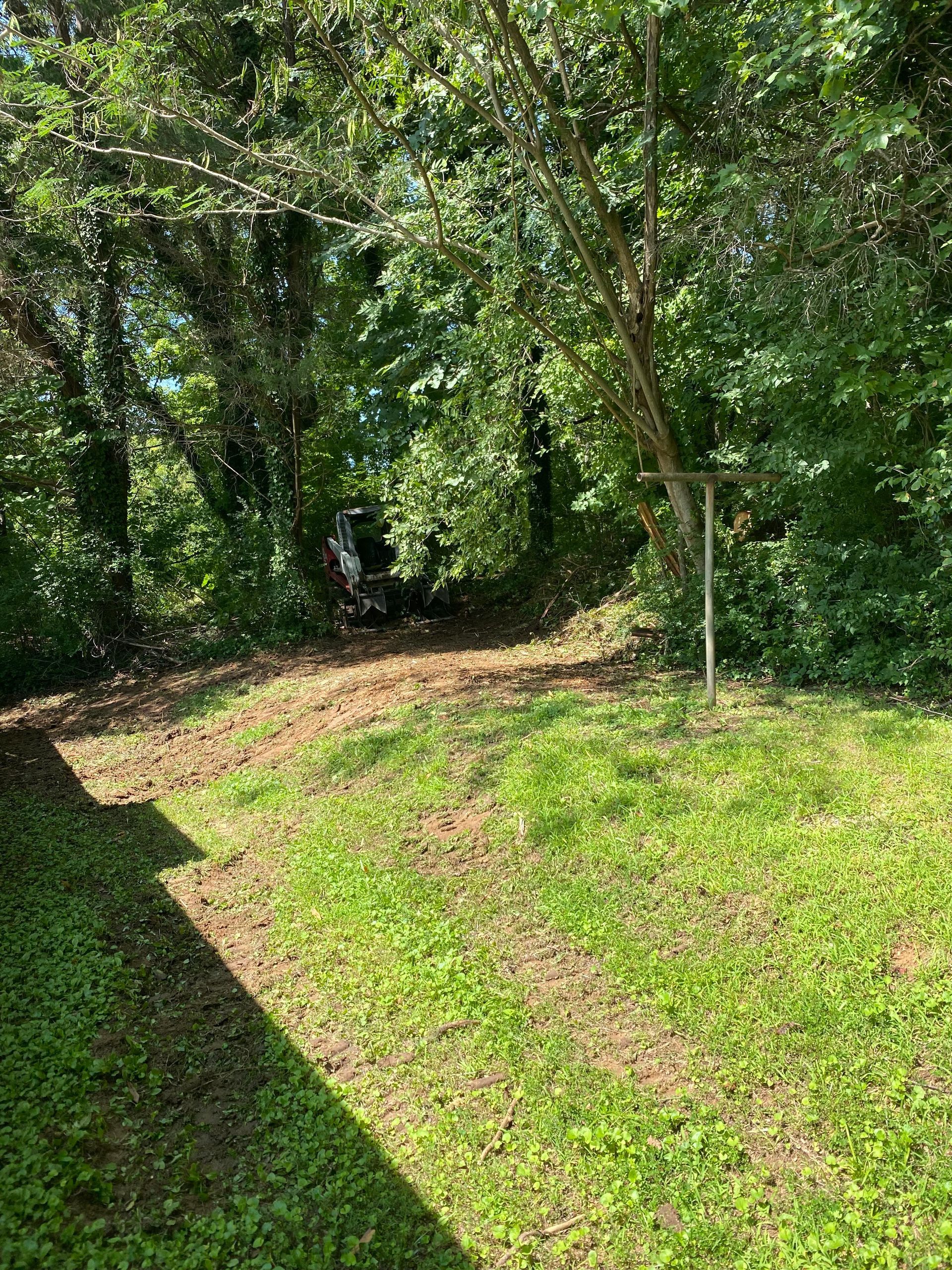 A view of a grassy backyard area transitioning into a shaded, leaf-covered wooded edge with a tall wooden post.