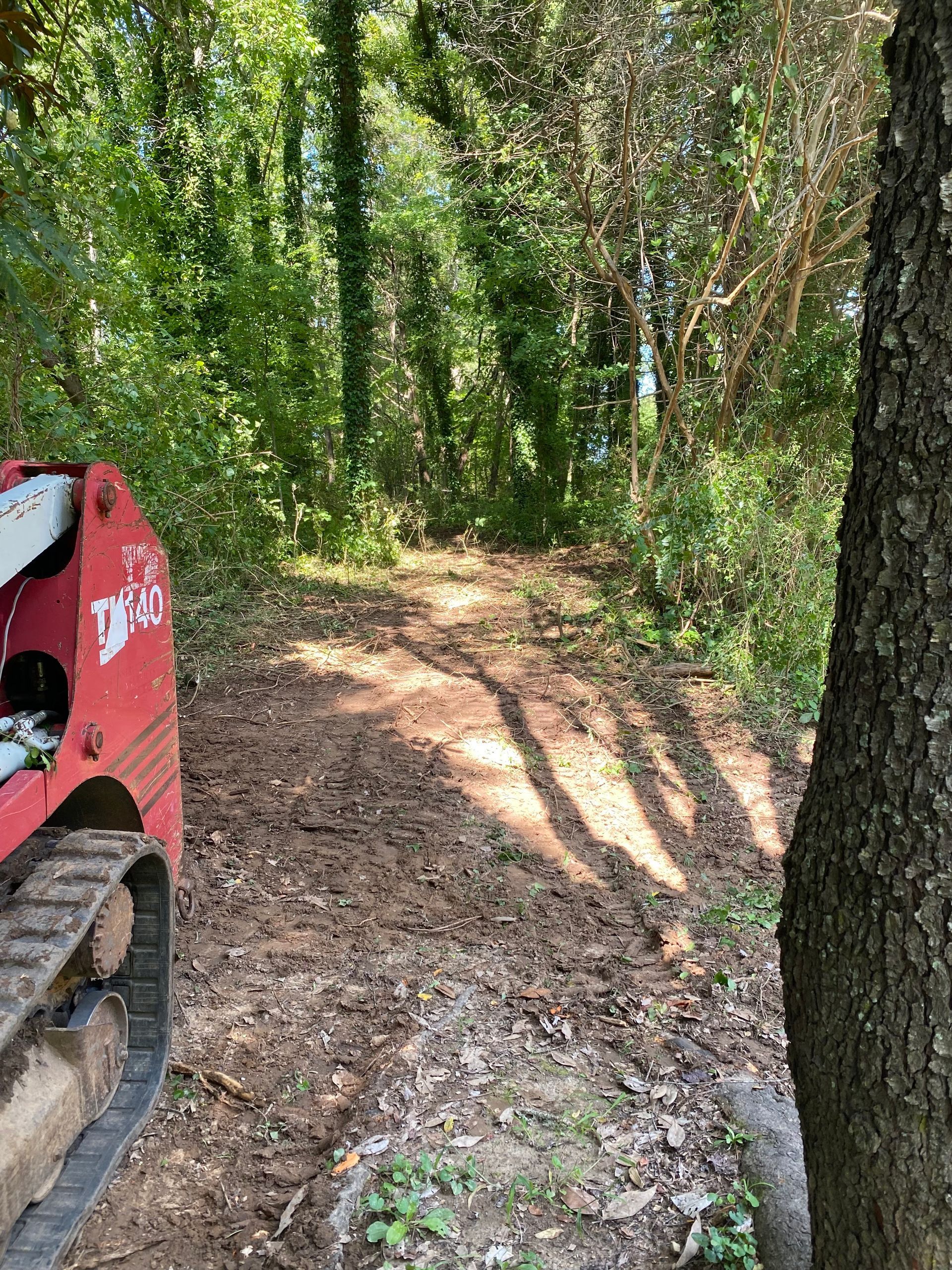 A red track loader sits at the edge of a cleared dirt path leading into a dense, sunlit forest.