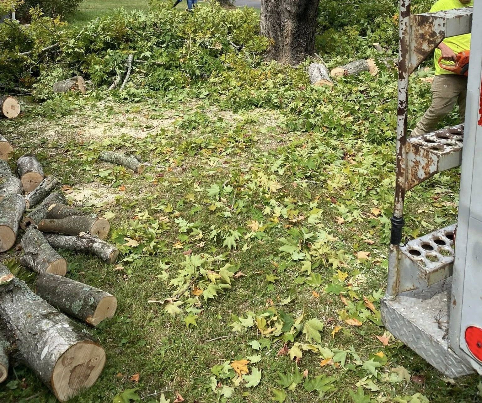 A worker in high-visibility gear stands near cut logs and piles of tree trimmings on a grassy lawn.