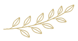 gold laurel