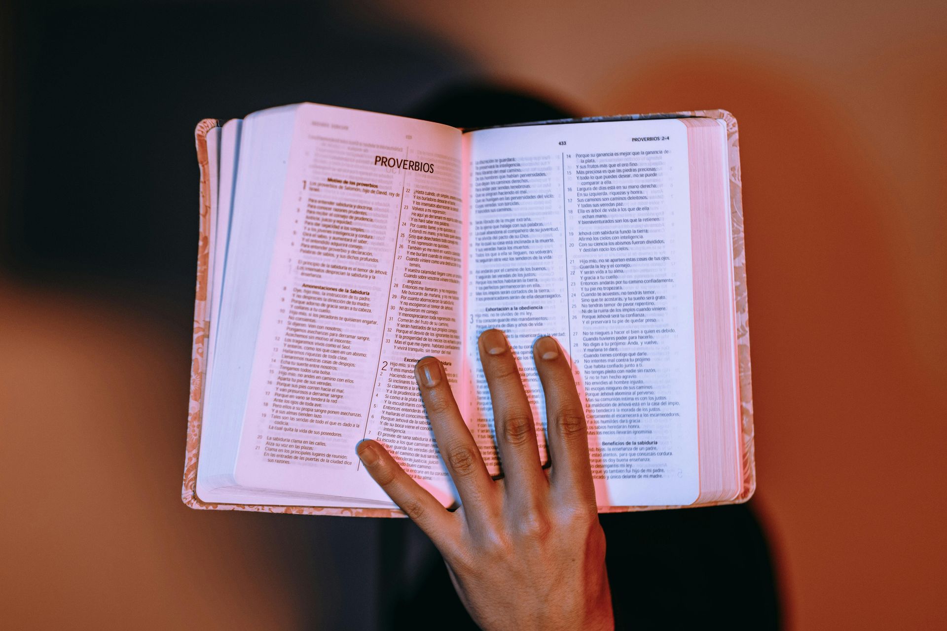 Bible reading
