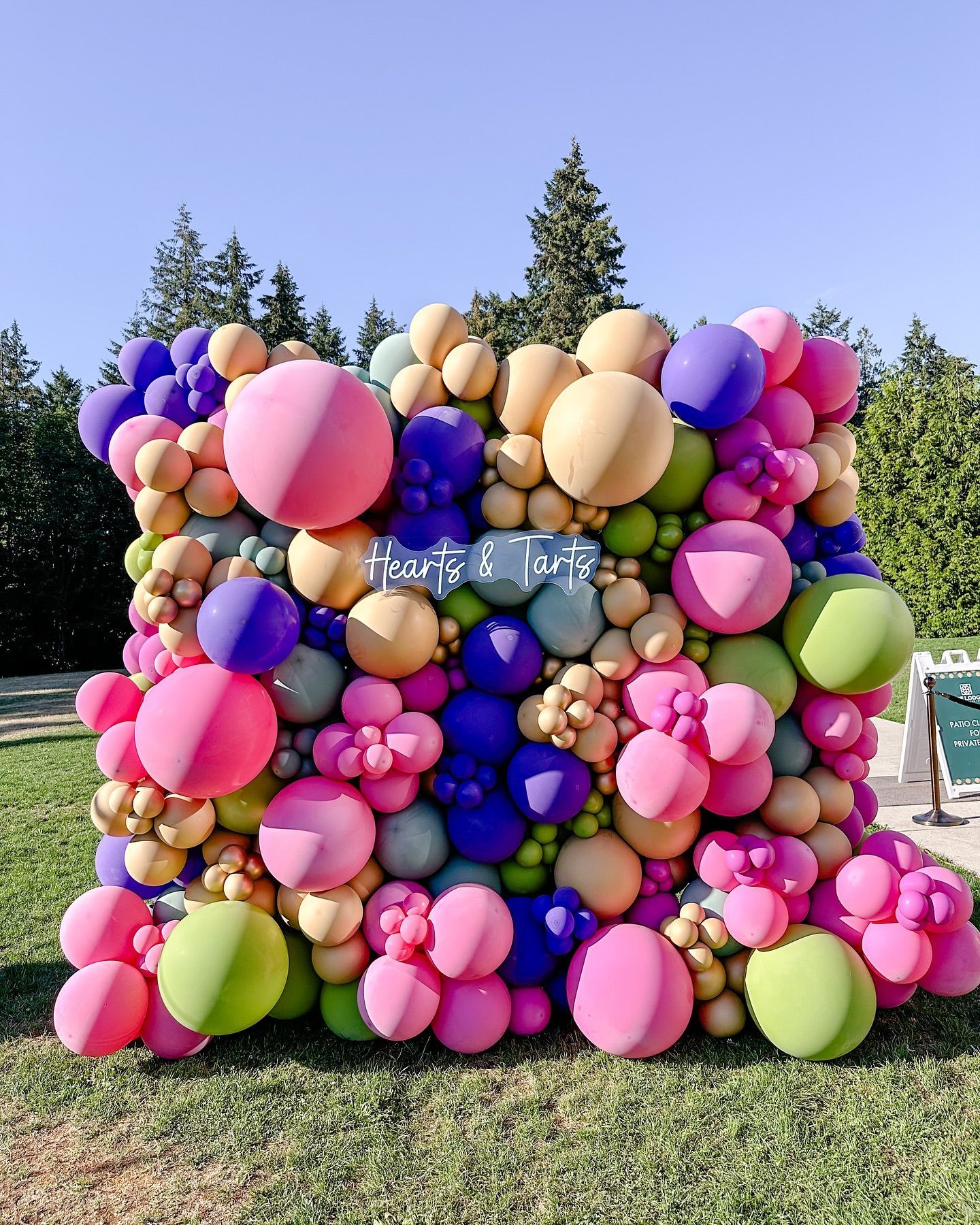 A wall of colorful balloons sitting on top of a lush green field.