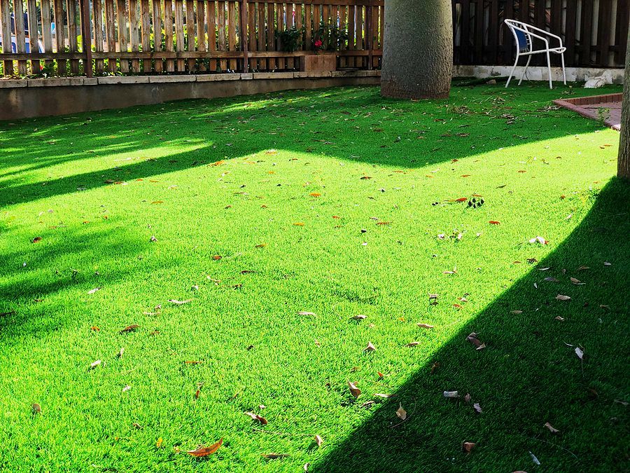 A lush green lawn with a wooden fence in the background
