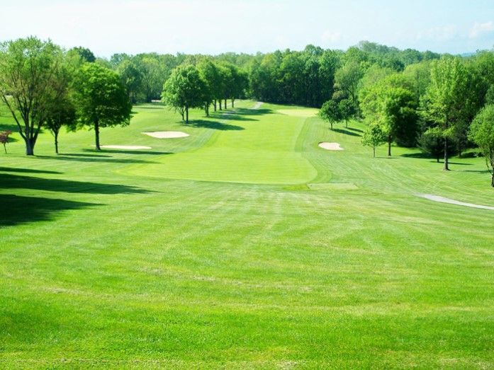 A golf course with a lot of green grass and trees