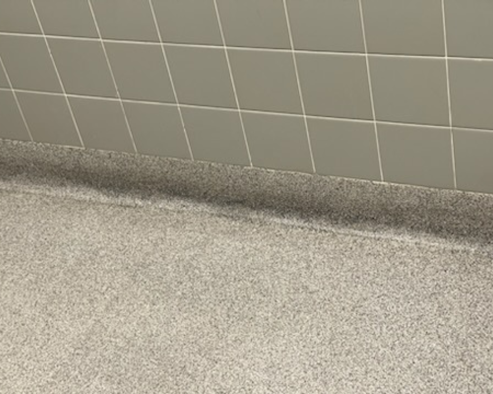 Before Cleaning