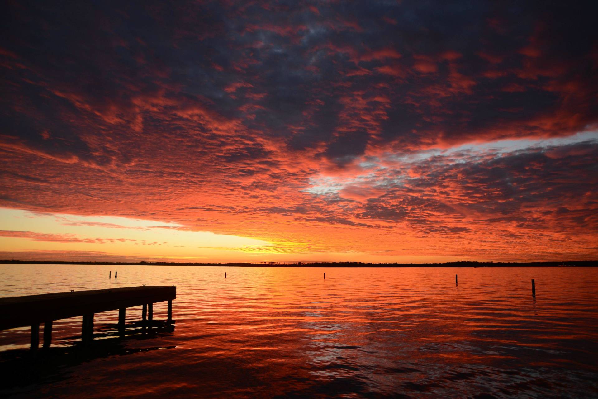 The Pines on Lake Conroe RV Park RV park in Willis, TX (photo 2)