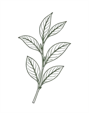 planta Logo Américo Duarte Paixão 03