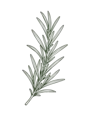 planta Logo Américo Duarte Paixão 02