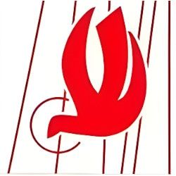 The Children’s Hunger Project logo