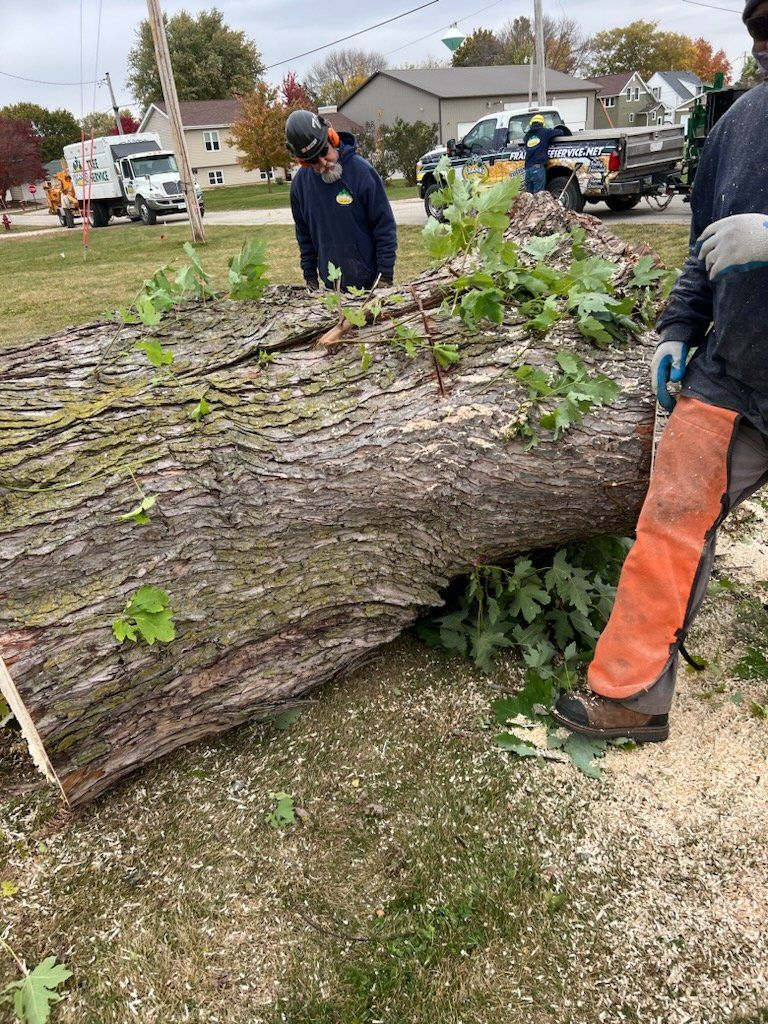 Frank's Storm Damage Tree Service