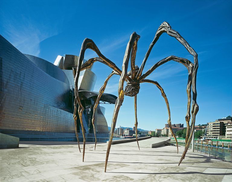Spiders