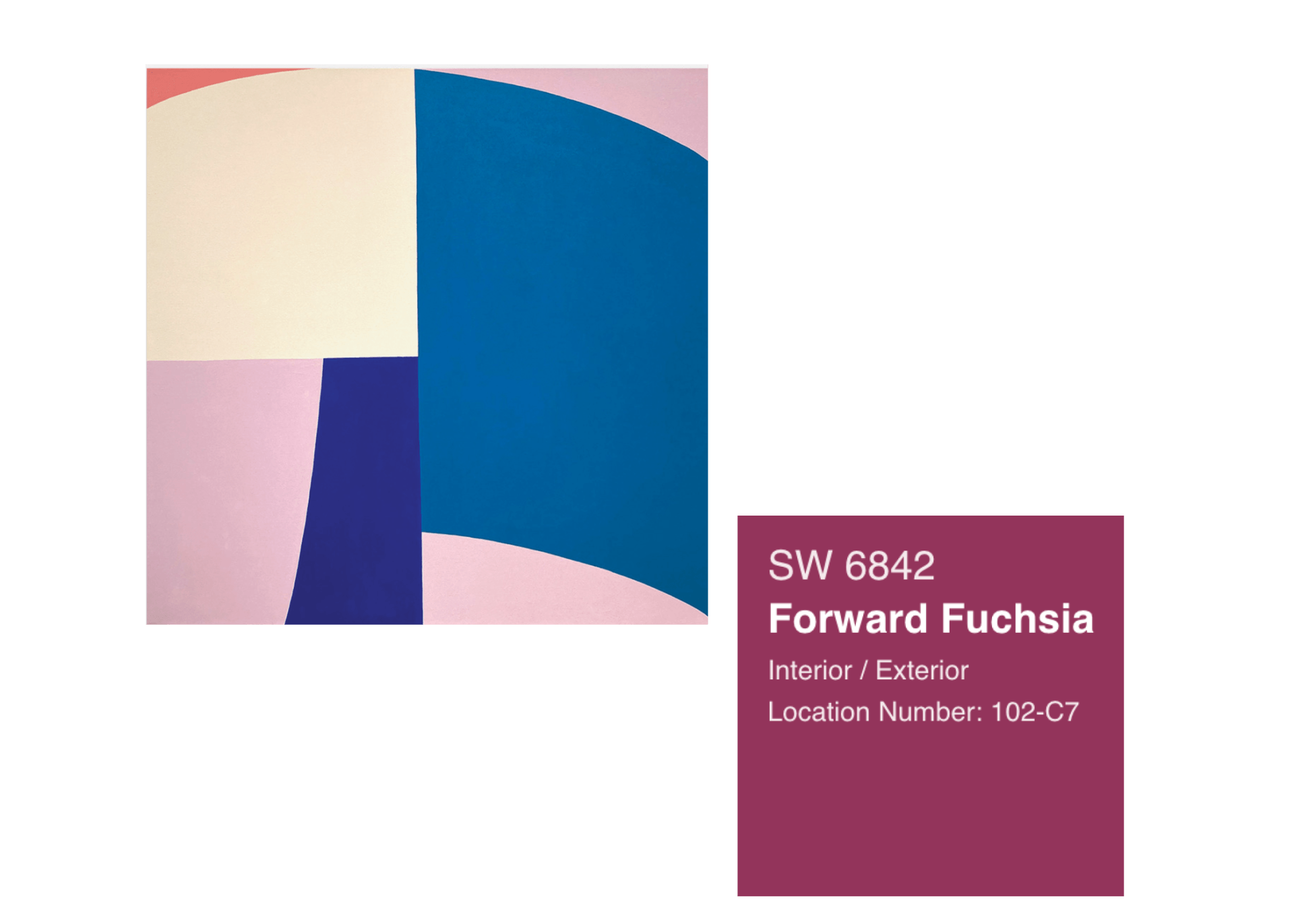 Christina Flowers and Sherwin Williams Forward Fuchsia