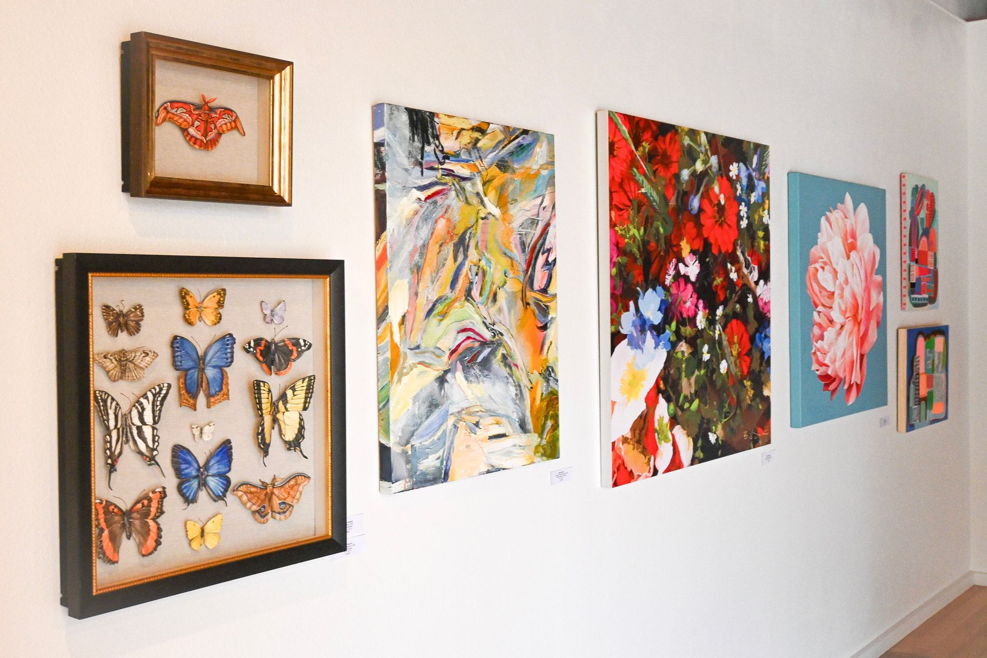IOWA ARTIST OF THE MONTH
The Gallery Collection