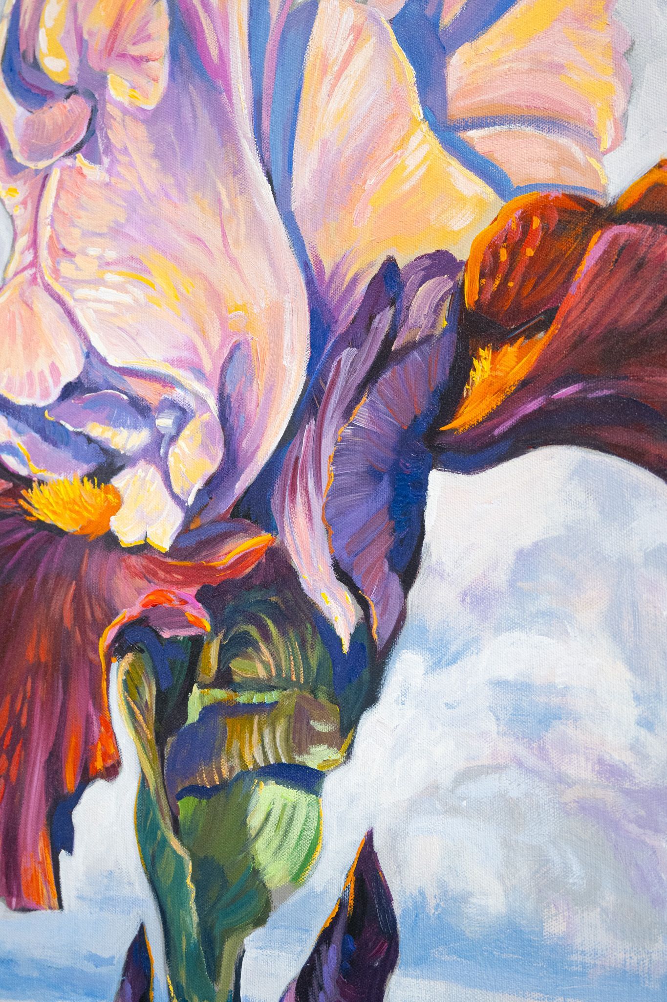 Iris II