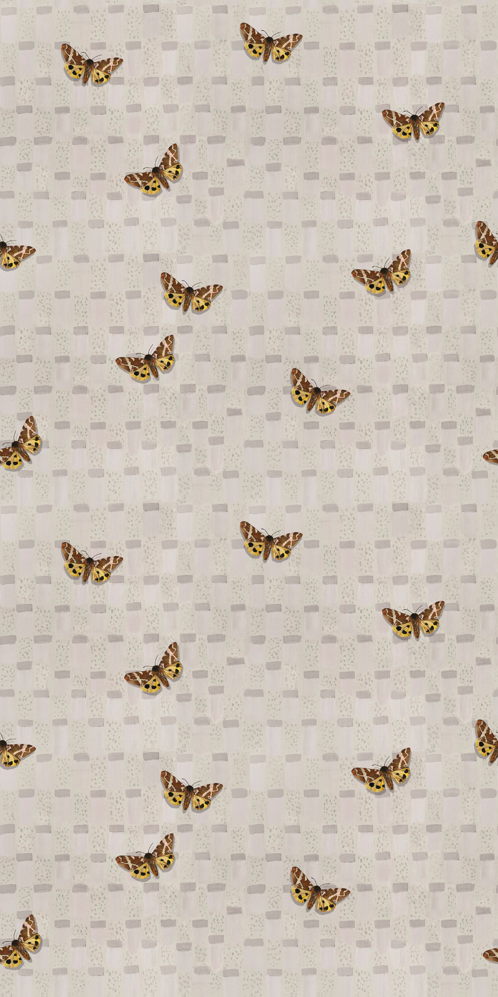 Kevin Brent Morris wallpaper