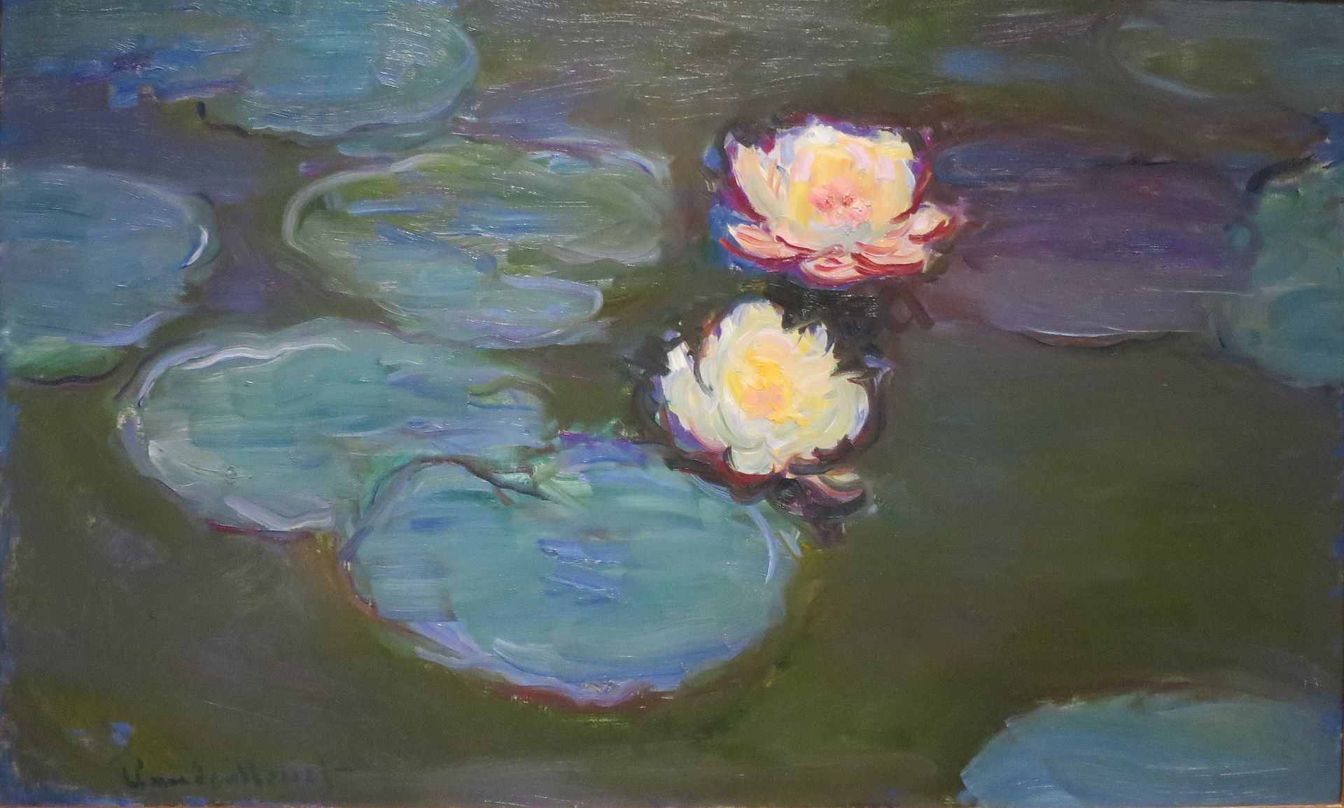 Water Lillies