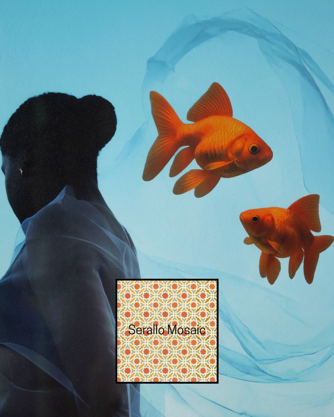 Fares Micue goldfish