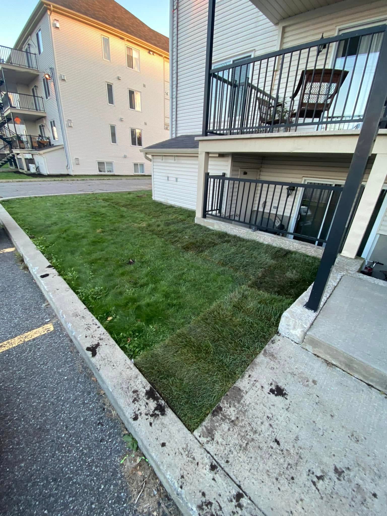 Bande de pelouse fraîchement tondue jouxtant un bâtiment, bordée par un trottoir en béton et une aire de stationnement.