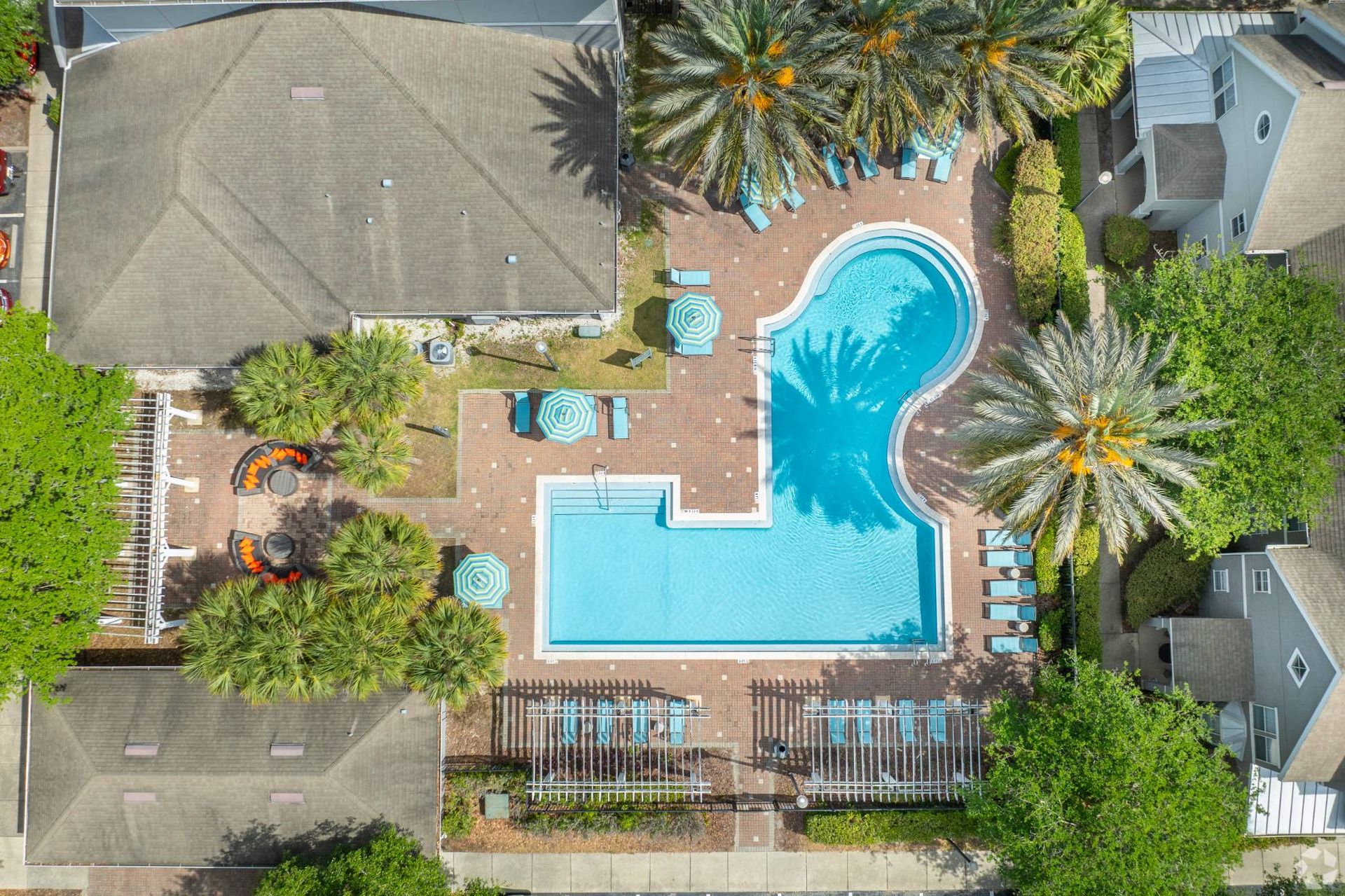 Aerial view of the community pool area with palm trees and lounge chairs at Uptown Village Apartments in Gainesville, FL.