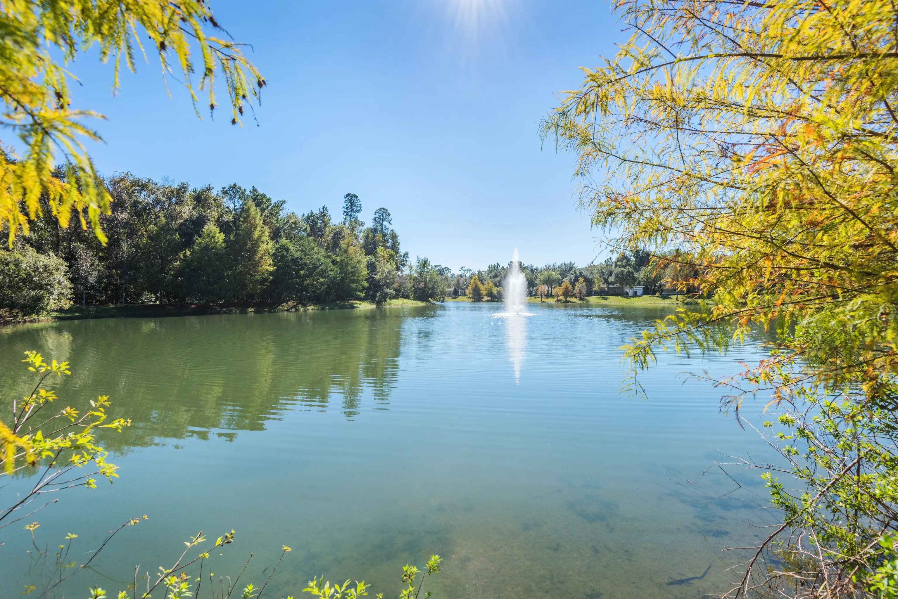 Lake with a fountain, surrounded by trees under a sunny blue sky at Uptown Village Apartments in Gainesville, FL.