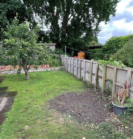 Tree Removal Northamptonshire | Tree Surgeon Northampton