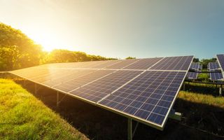 Solar panels in a field, angled toward the sun, bright sky and trees in the background. Solar panels in a field, angled toward the sun, bright sky and trees in the background.