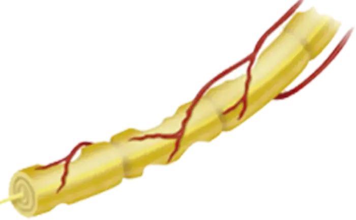 Frayed Nerves