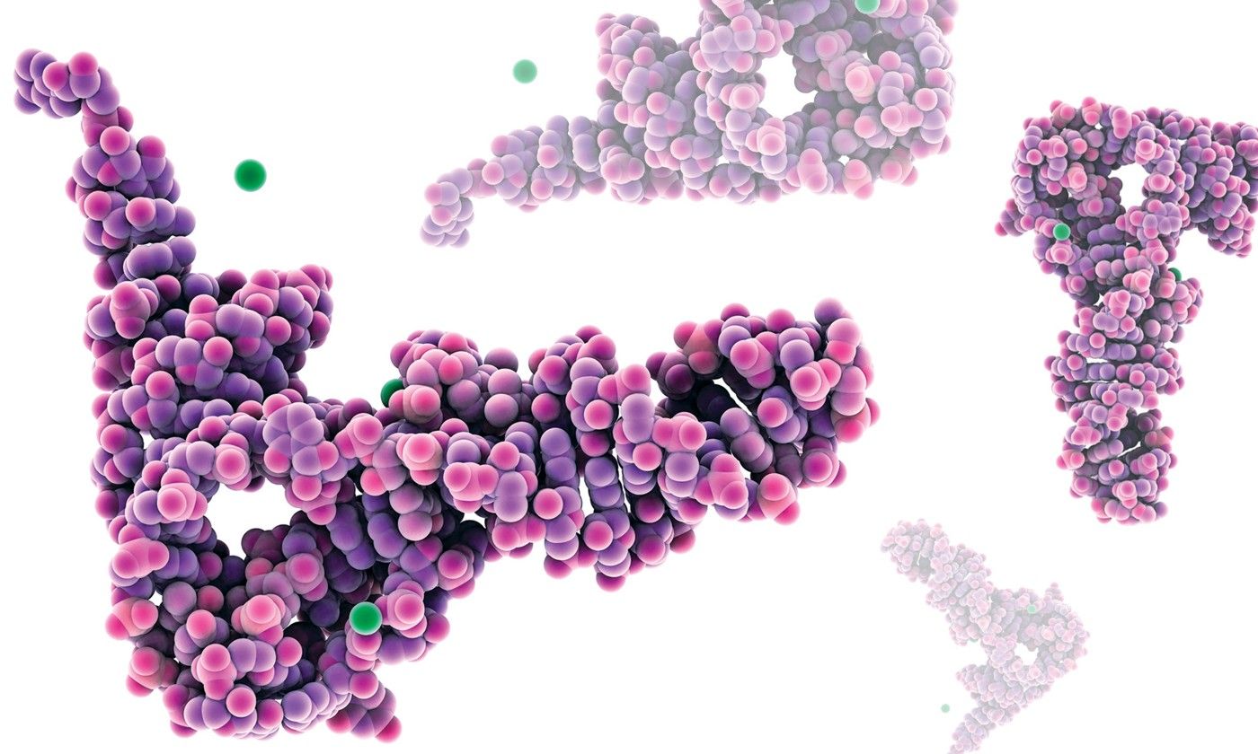 tRNA