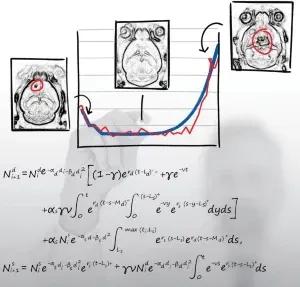 Evolutionary modeling suggests an alternative treatment schedule for brain cancer.