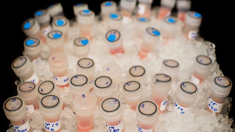 Shoddy tumor biopsies are preventing cancer patients from receiving personalized therapies.