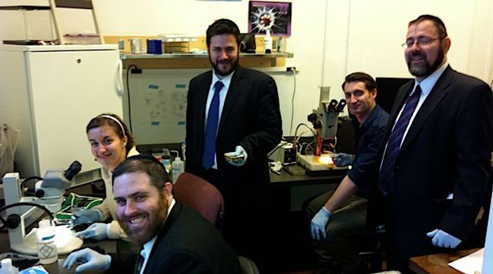 Orthodox Union rabbis sought DNA testing help from American Museum of Natural History researcher.
