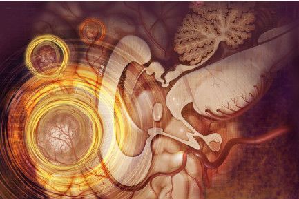 Tumors naturally attract stem cells