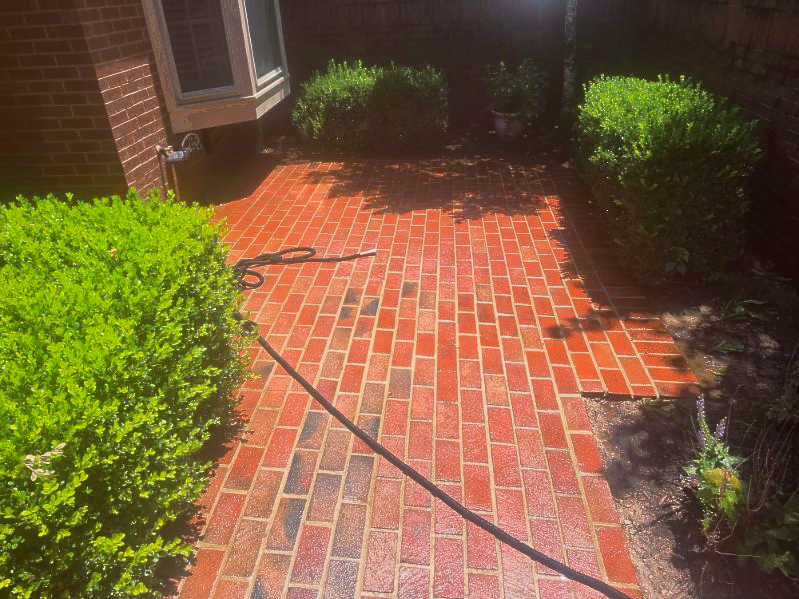 Brick walkway with black hose running through a sunny garden courtyard bordered by green shrubs.