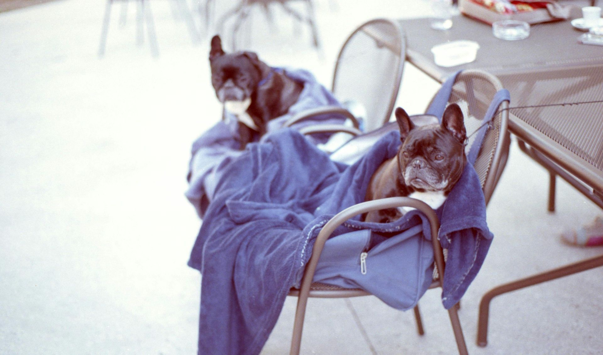 Blankets