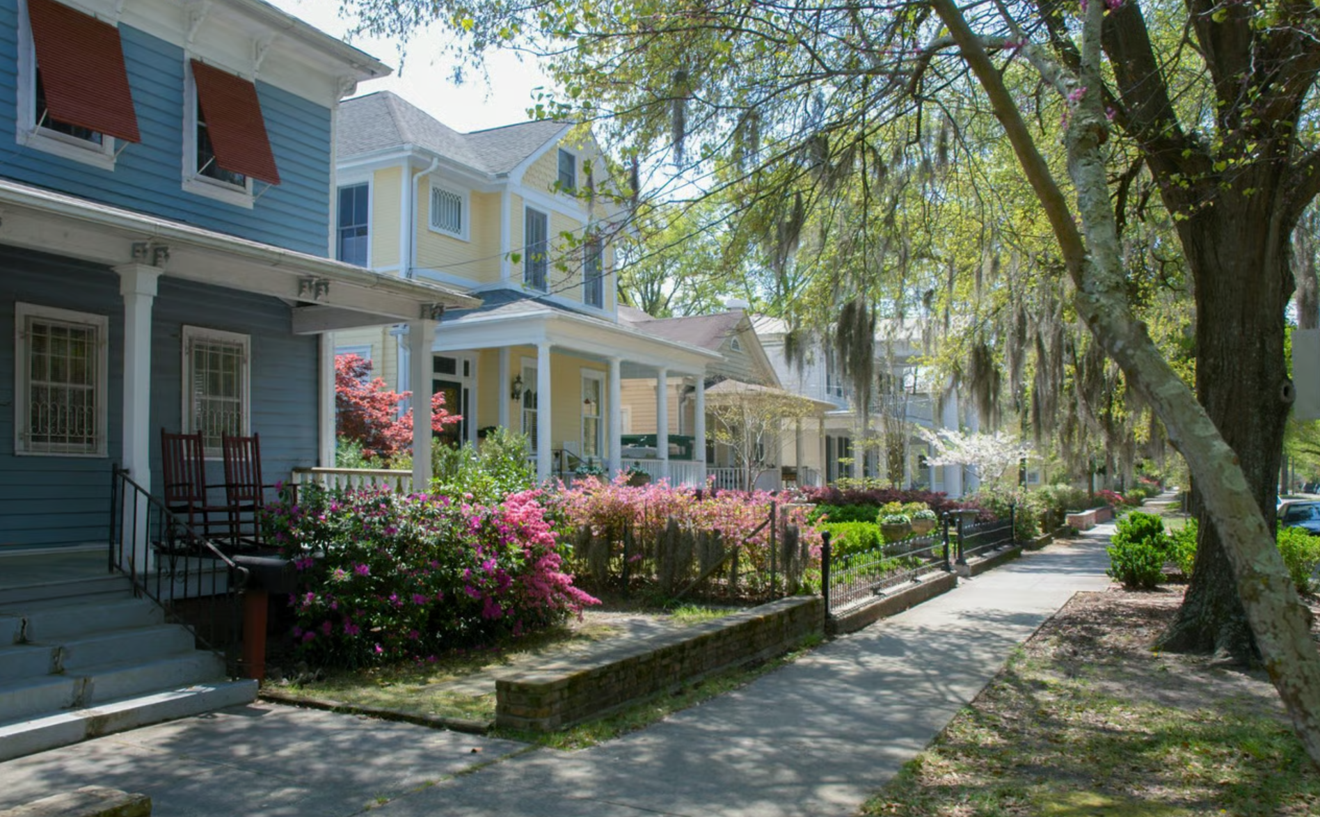 Colorful row houses with porches and flowers along a tree-lined sidewalk in bright sunlight