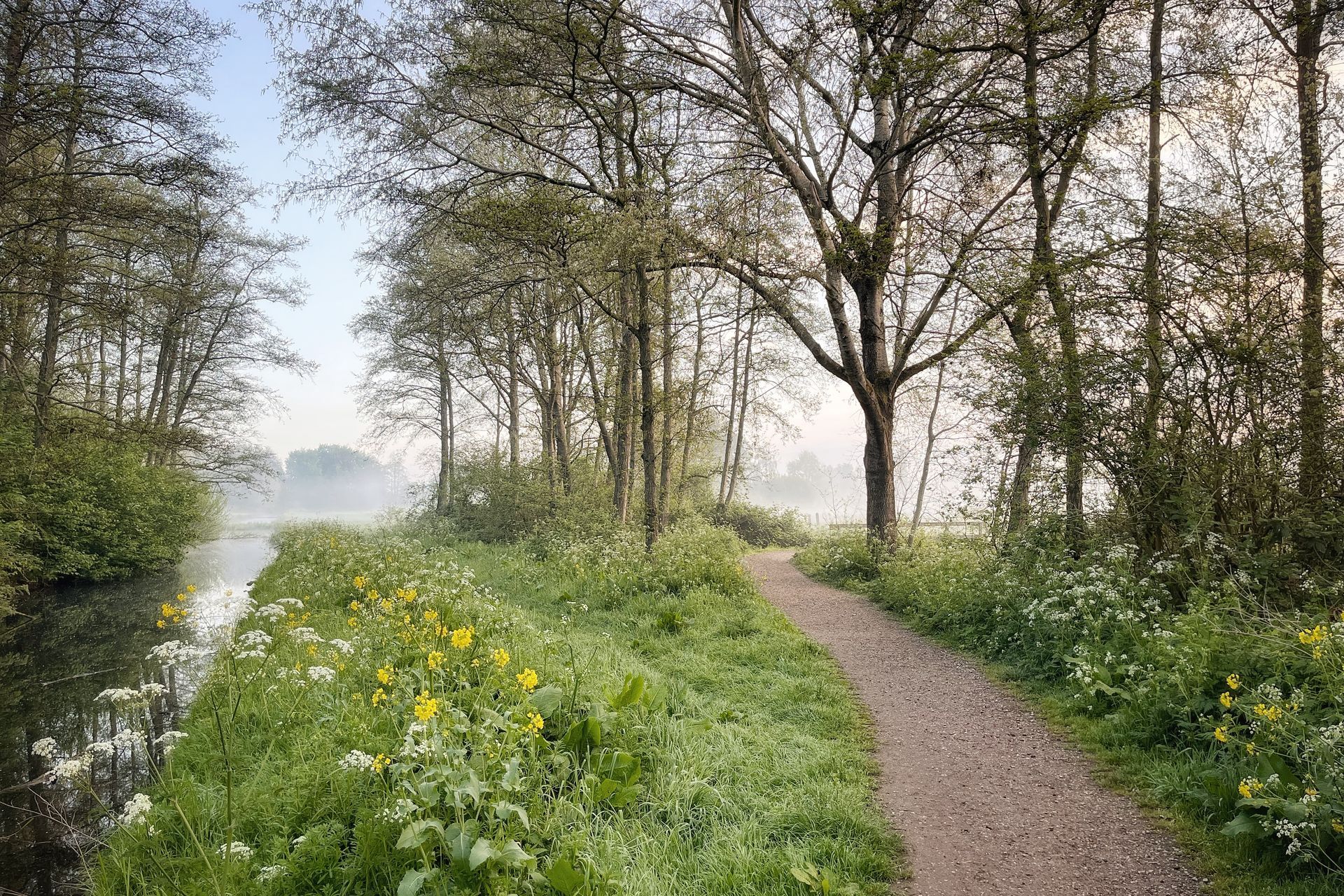 Goudse Hout